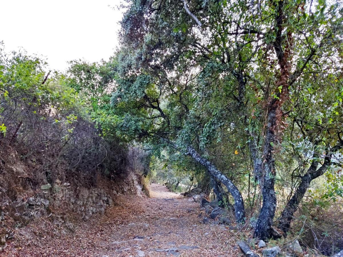 Casa El Canton Jimera de Libar Bagian luar foto